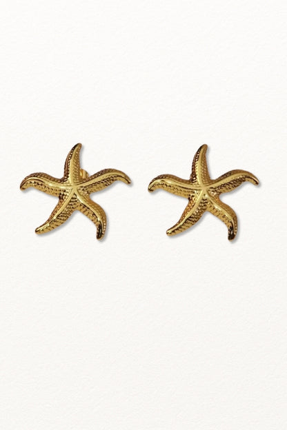 Brincos Estrela Amalfi