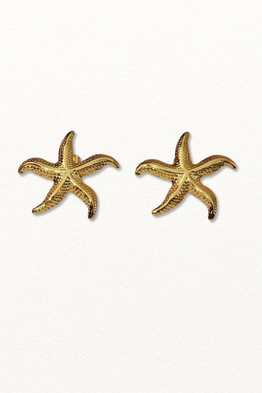 Brincos Estrela Amalfi