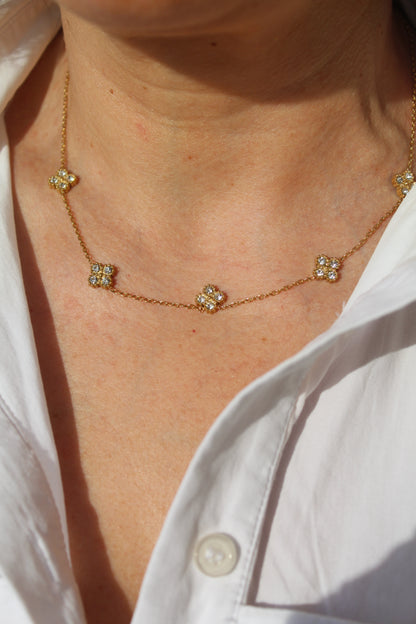 Conjunto Brilho Versalhes