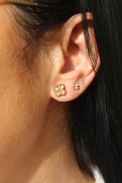 Conjunto Brilho Versalhes